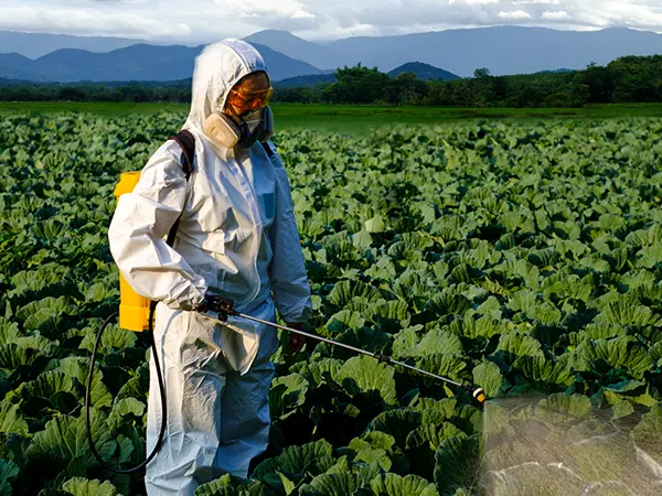 Reshaping the quality and innovation boundaries of the sprayer industry