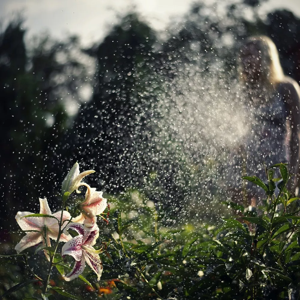 Garden-Home