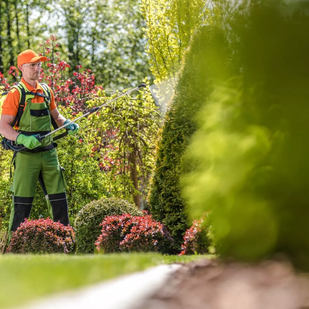 Professional Gardening