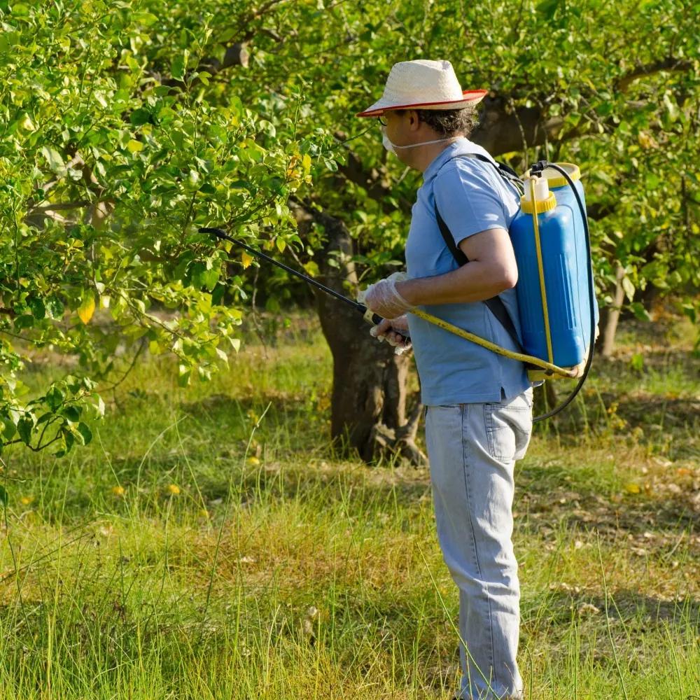 Urban Orchards